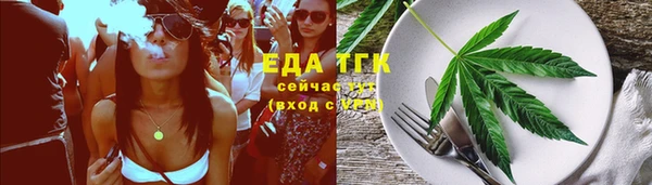 винт Пересвет