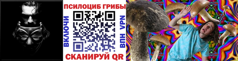 Галлюциногенные грибы Psilocybine cubensis  это телеграм  Темников 