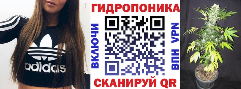 Каннабис Amnesia  магазин продажи   Темников 